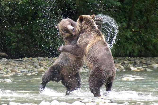 Grizzly Bear Expedition