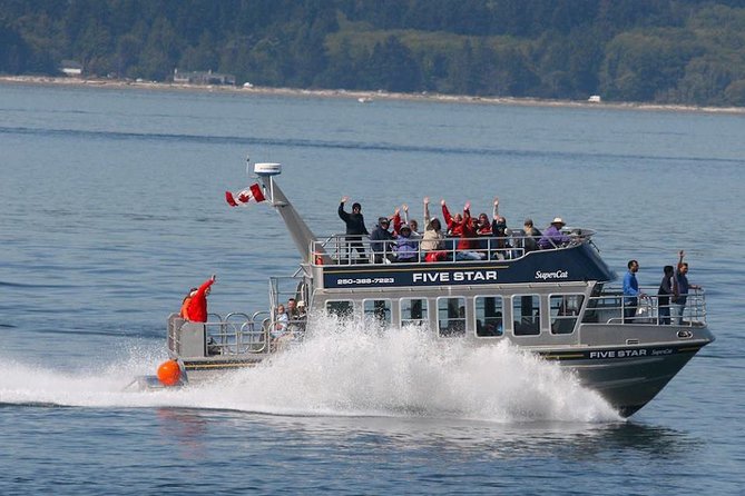 Canada WhaleWatching Cruise with Expert Wildlife Naturalists